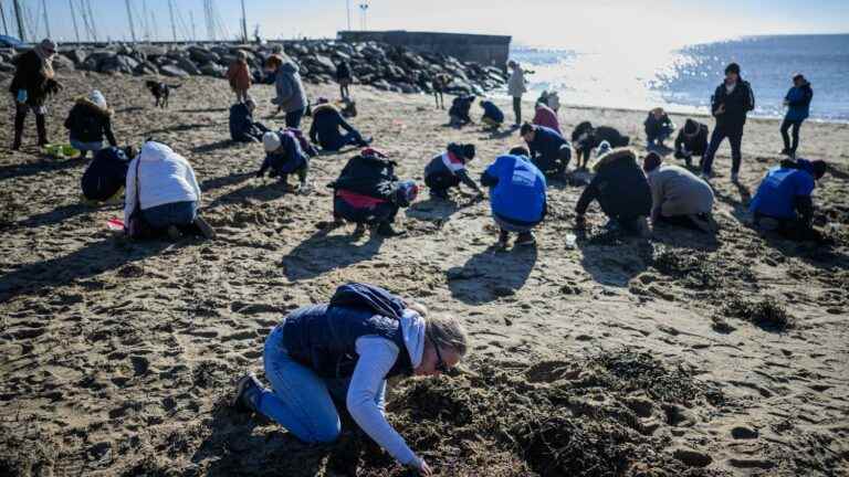 “It’s a real scourge caused by the industry”, denounces the NGO Surfrider