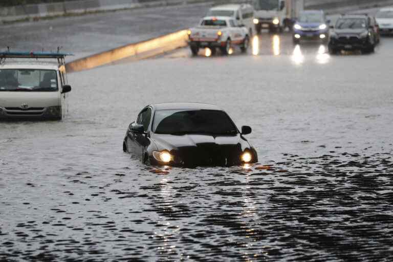 More rain expected in Auckland