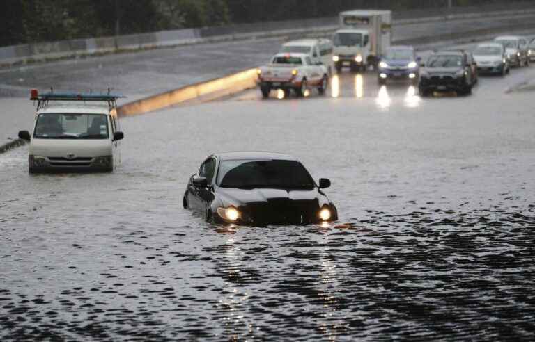 More rain expected in Auckland, New Zealand