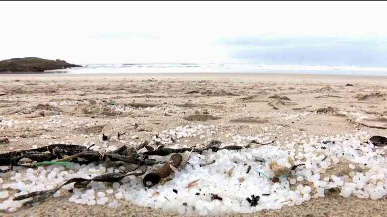 Pollution: a white tide sweeps over the Atlantic coasts