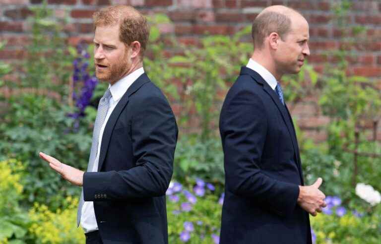 Prince Harry accused of wanting to destroy the British royal family