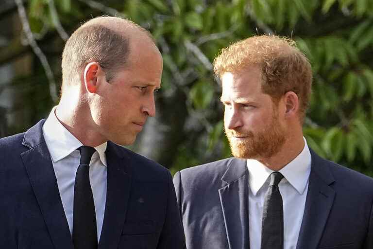 Prince Harry accuses his brother of physically attacking him in 2019