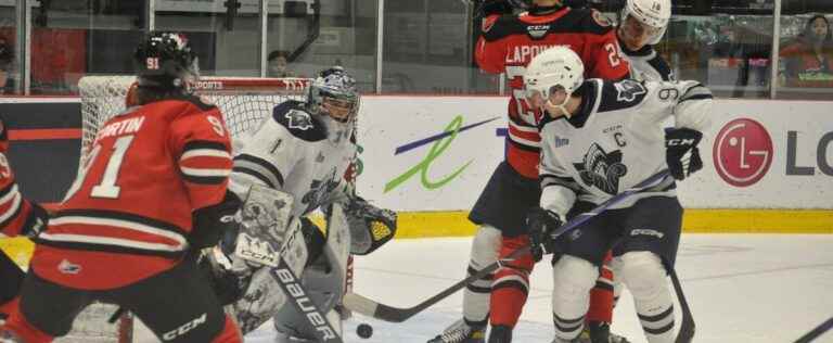 QMJHL: the Océanic wins a funny game against the Voltigeurs