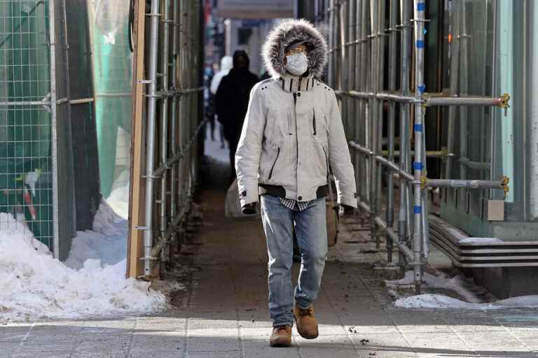 Respiratory viruses |  The triple epidemic is subsiding in Quebec