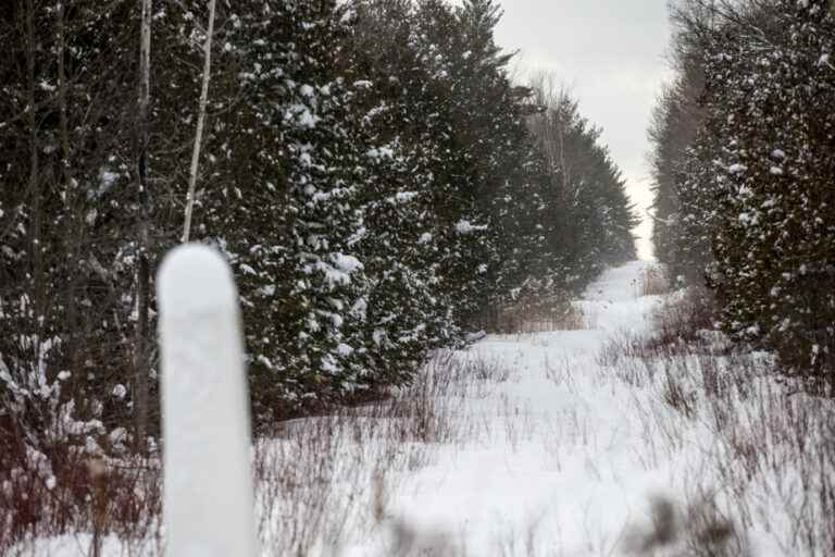 Saint-Bernard-de-Lacolle |  Man found dead not far from Roxham Road