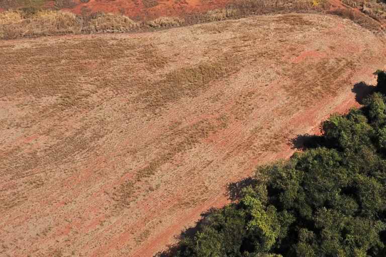 Study of the journal Science |  Nearly 40% of the Amazon rainforest degraded by human activity