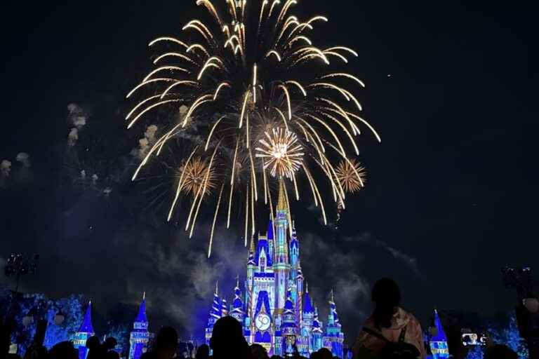 Take full advantage of Walt Disney World |  The Press