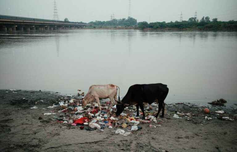 The eternal pollution of the Yamuna, India’s sacred river