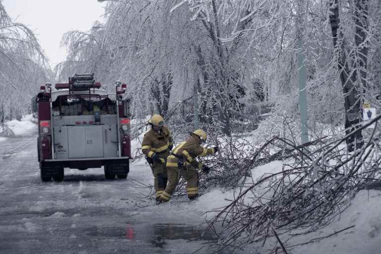 The ice storm, 25 years later |  In the hell of ice