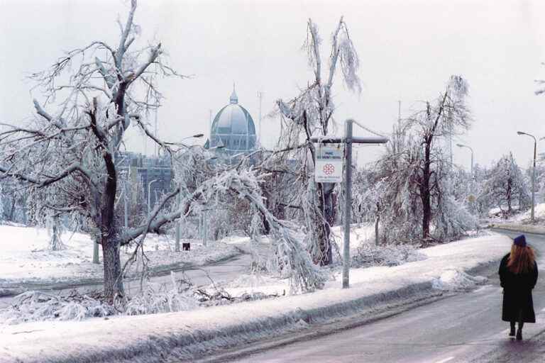 The ice storm, 25 years later |  The disaster revisited in two documentaries