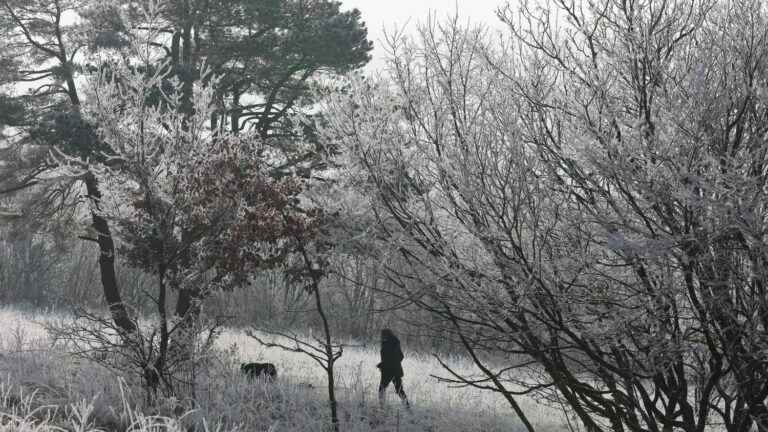 The thermometer will return to seasonal normal on Sunday, warns Météo France, ending a worrying mildness