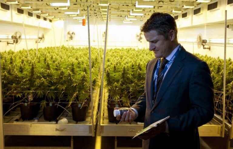 Tilray “frustrated” by the slow process of legalizing cannabis in the United States