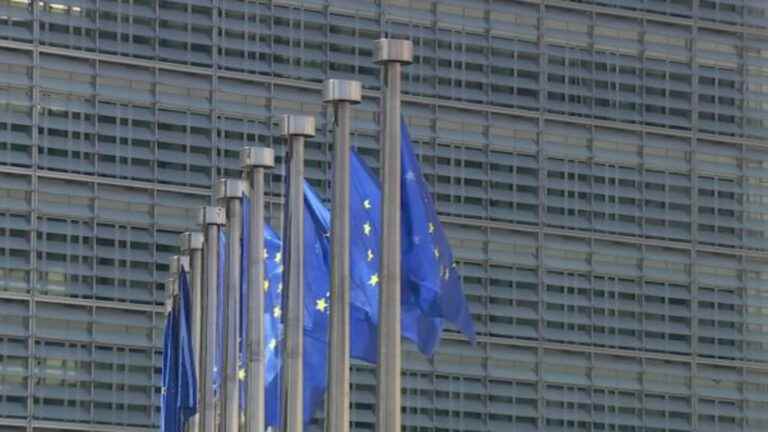 True or Fake: was pension reform requested by Europe?