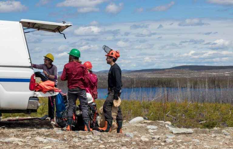 UQAC: an observatory for a more resilient boreal forest