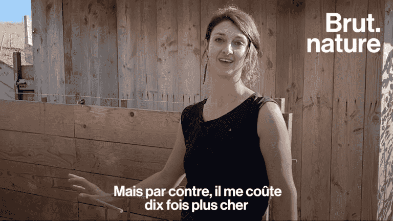 VIDEO.  Noémie, organic pig breeder, wants to change pork production