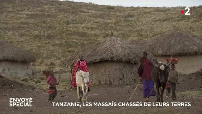 VIDEO.  Tanzania, the Maasai chased from their land