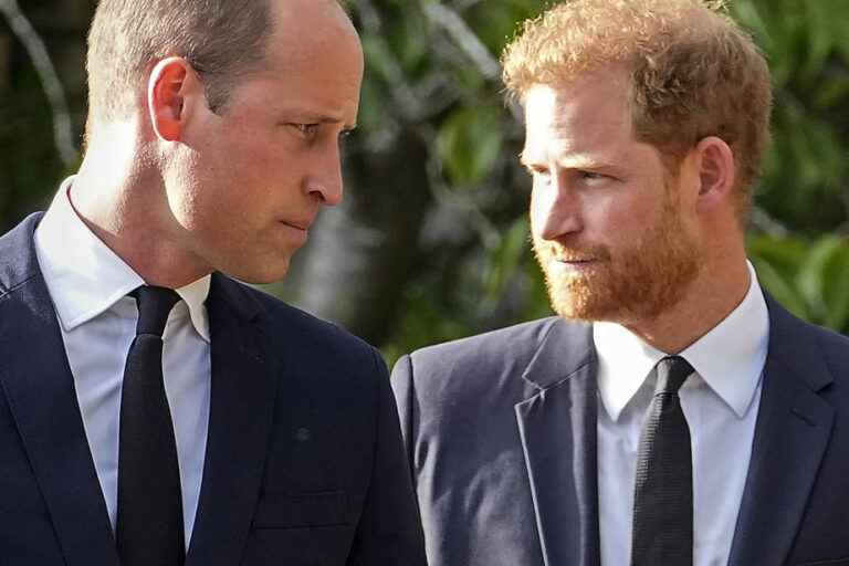 Violent William, Charles remarriage |  In his memoirs, an unfiltered Prince Harry