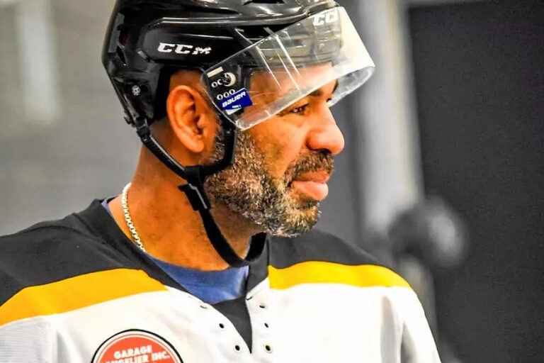 Violent gestures |  Three game suspension for Donald Brashear in a senior league