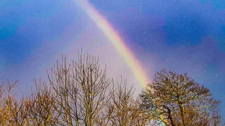 Why looking at the stars or a rainbow is good for the brain