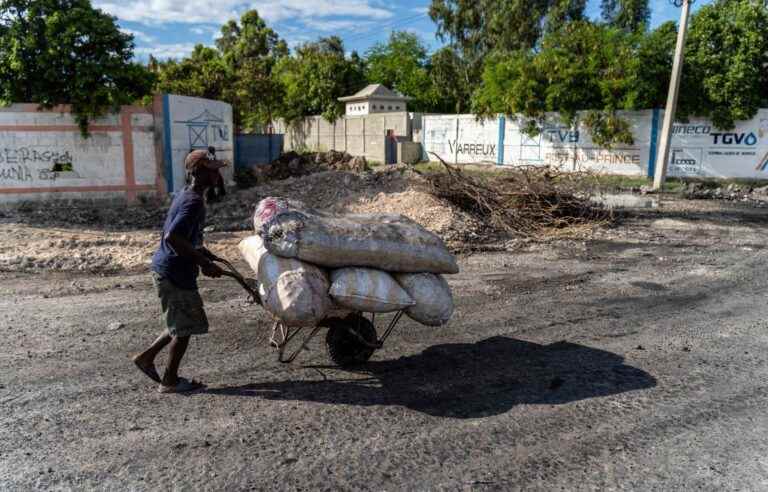 Without president, deputies or senators, democracy is dying in Haiti