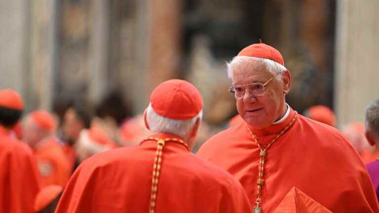 a cardinal scratches Pope Francis in a vitriolic book