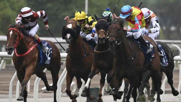 a veterinarian indicted for alleged doping on racehorses