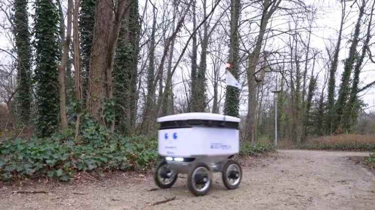 delivery robots tested by large retailers