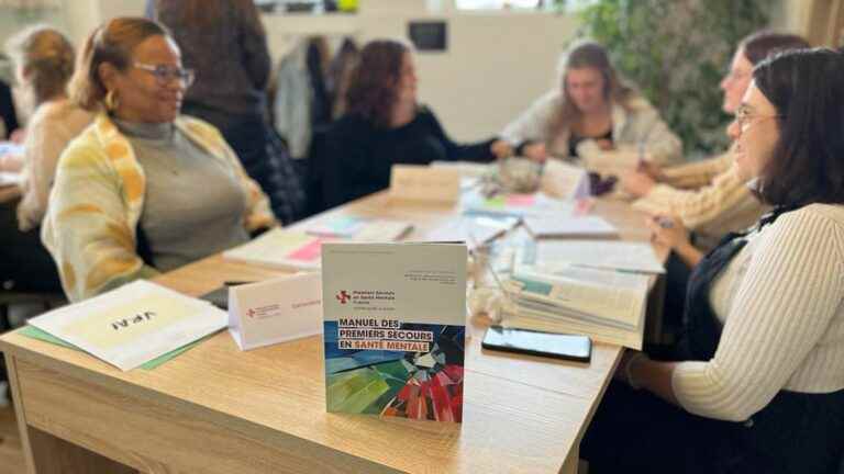 in Lyon, an association trains first aiders in mental health