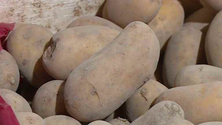 in Toulouse, initiatives to save ugly vegetables