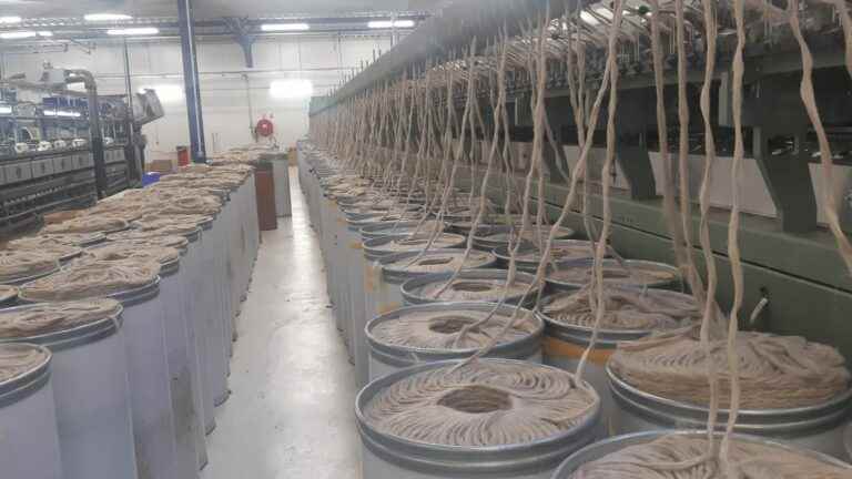 in the North, the textile industry is trying to go green thanks to the flax industry