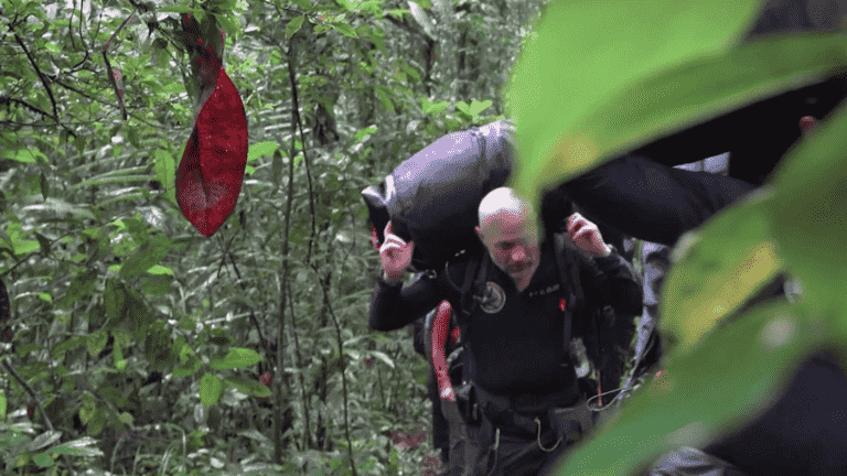 of French people spend forty days in a tropical forest for science