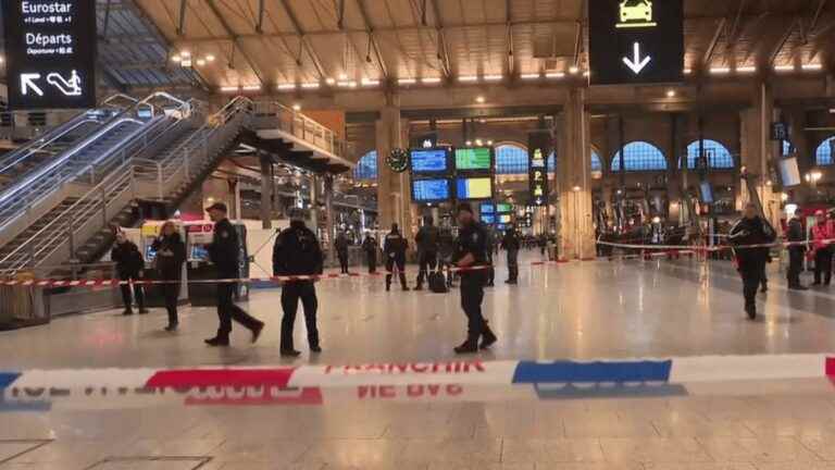 six injured in a stabbing attack at the Gare du Nord