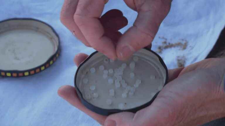 the Atlantic coast polluted by plastic balls