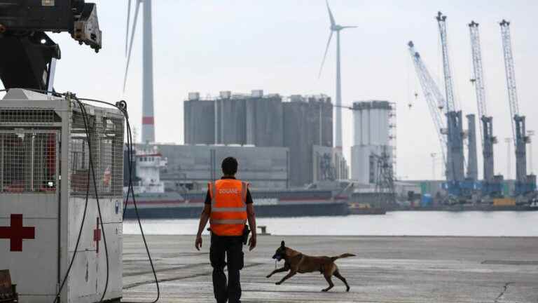 the Belgian port of Antwerp more than ever targeted by drug traffickers