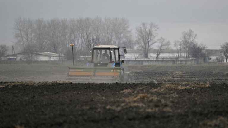 their fields mined, Ukrainian farmers fear a second year without a harvest