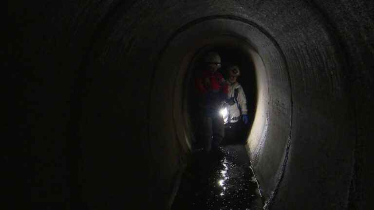 these robots that fight against water leaks in the city