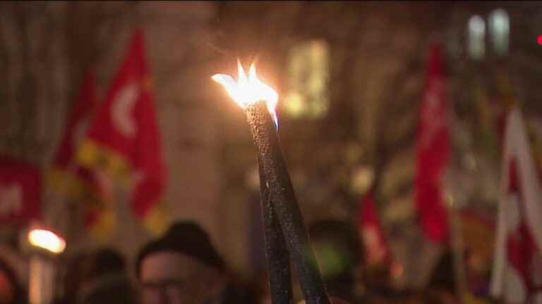 torchlight marches against the reform