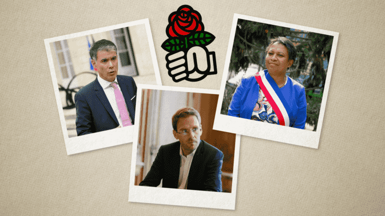 we present to you the candidates who run for the head of the Socialist Party