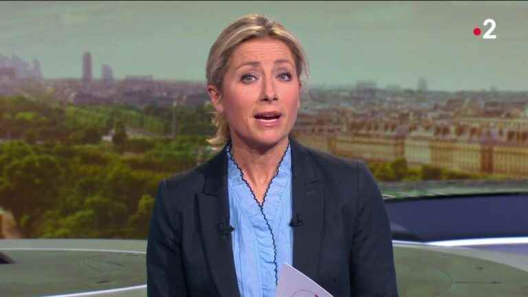 why the legs of the journalist create controversy at 20 hours of France 2?