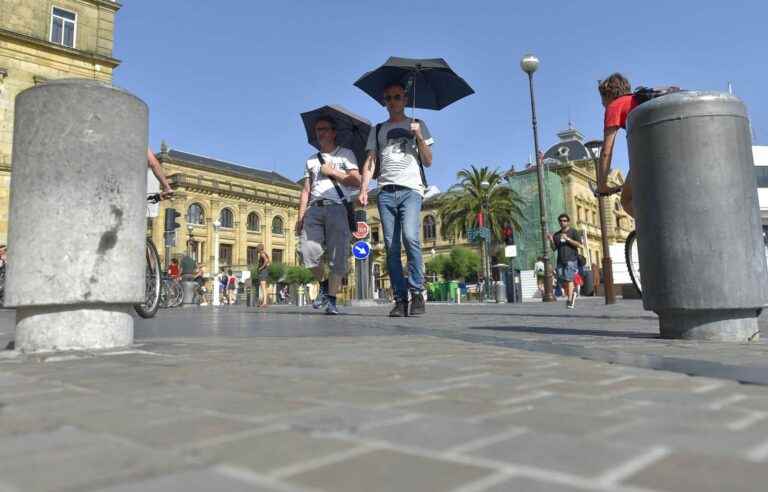 Trees could cut mortality from urban heatwaves by a third, study finds