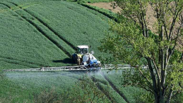 ANSES launches the market withdrawal procedure for S-metolachlor, one of the most widely used pesticides in France