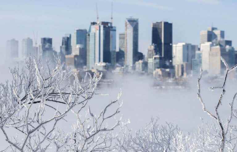 After the ice storm, milder weather for the weekend