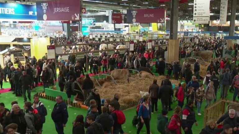 Agricultural show: high attendance for the first day of the 2023 edition