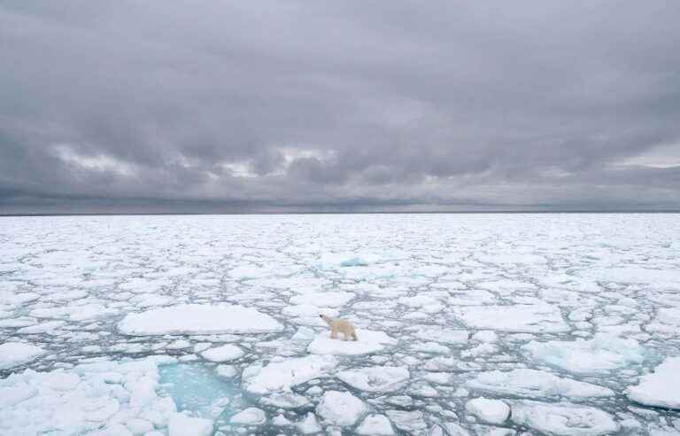 [Analyse] Icy tension around global warming