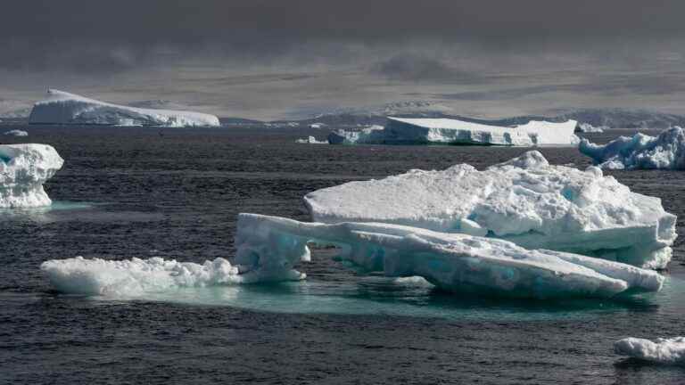 Antarctic sea ice extent hits new low in February