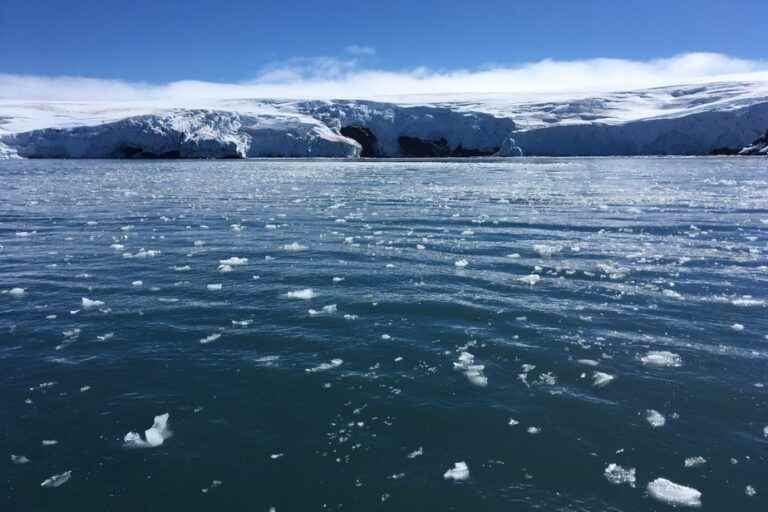 Antarctic sea ice hits record melt