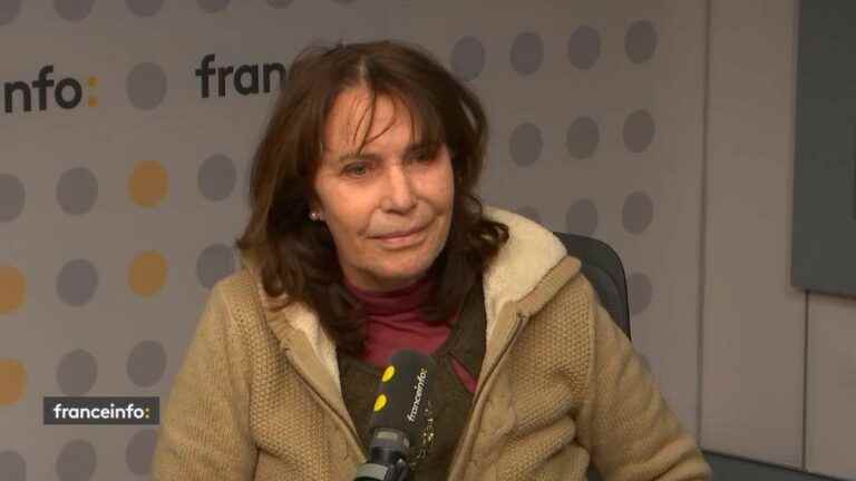 “Arcom is not an independent institution”, denounces one of its former members, Mémona Hintermann