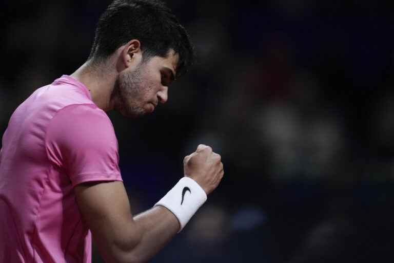 Argentina Open |  Carlos Alcaraz and Cameron Norrie advance to semi-finals