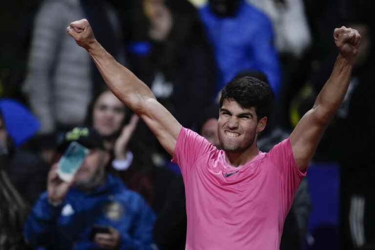 Argentina Open |  Carlos Alcaraz opposed to Cameron Norrie in the final