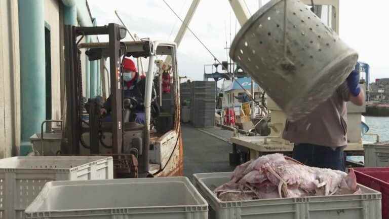 Brittany: fishermen express their anger against the post-Brexit scrapping plan